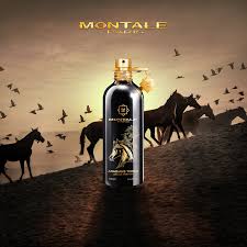 Arabians Tonka Montale